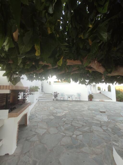 Vila Stellinas Pretty House Ándros Exteriér fotografie